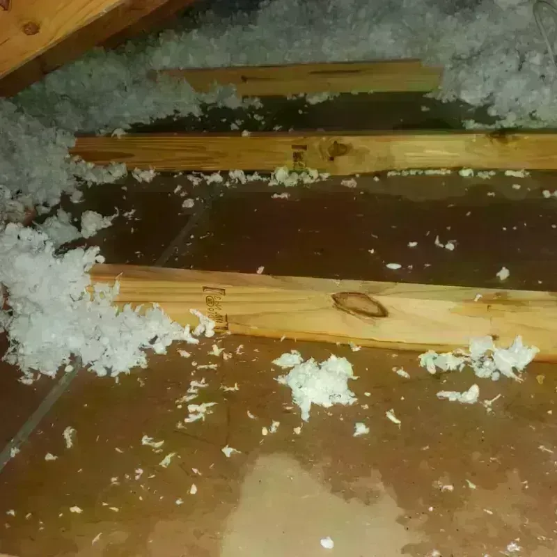 Attic Water Damage in Monterey, CA