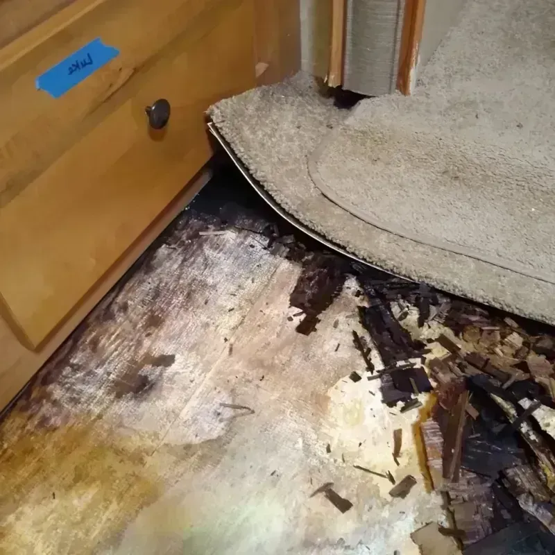 Wood Floor Water Damage in Monterey, CA